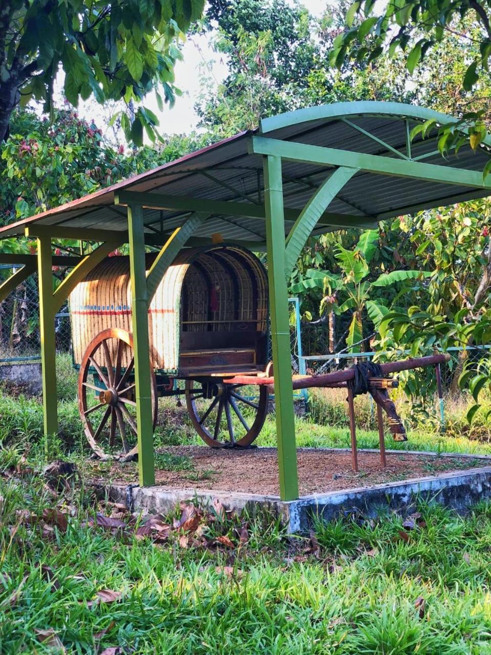 Traditional Villa Munnar Kültér fotó