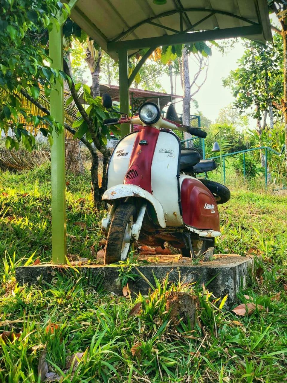 Traditional Villa Munnar Kültér fotó